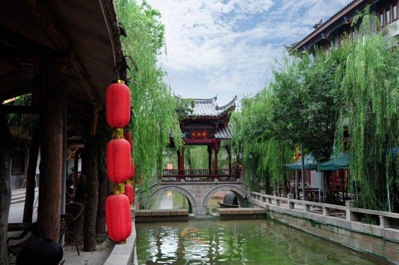 从粗放竞争到科技竞争 产品、市场创新开辟“毛孩子经济”新蓝海 地方政府躬身入场或重塑竞争格局